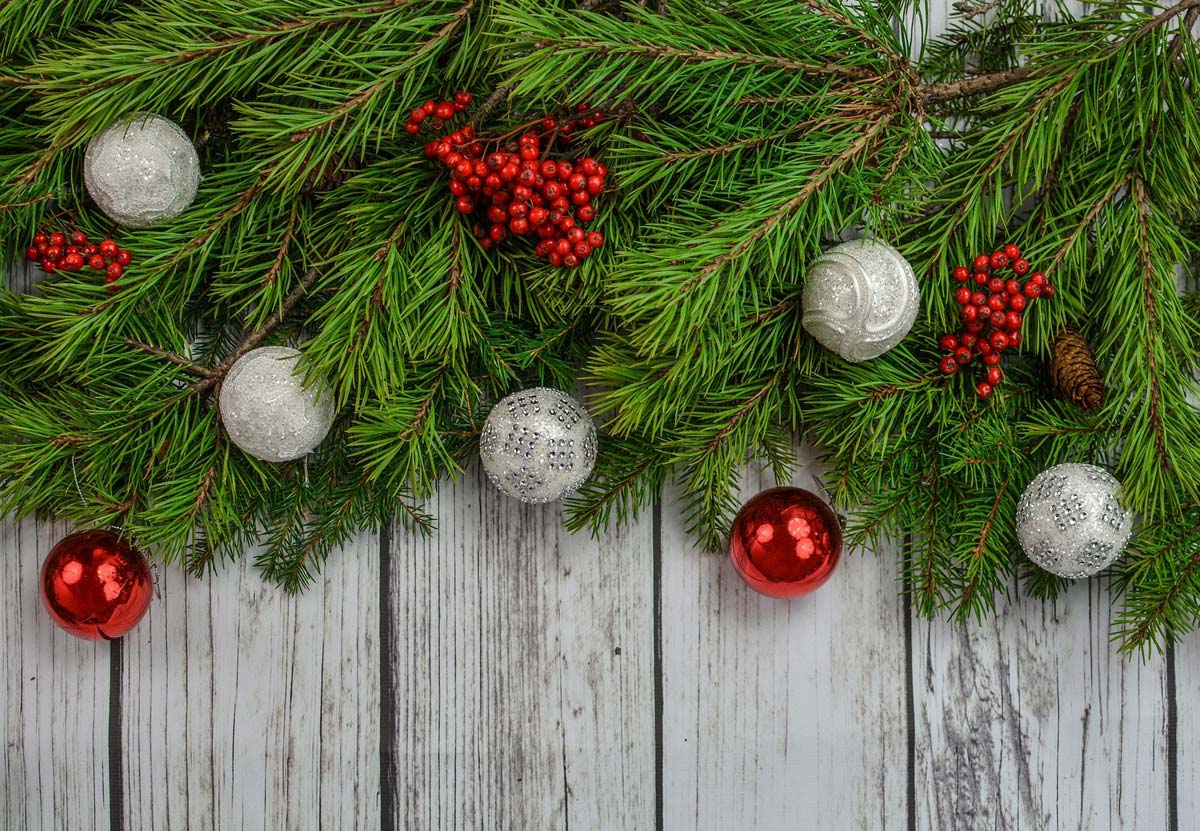 Christmas Offer 2023